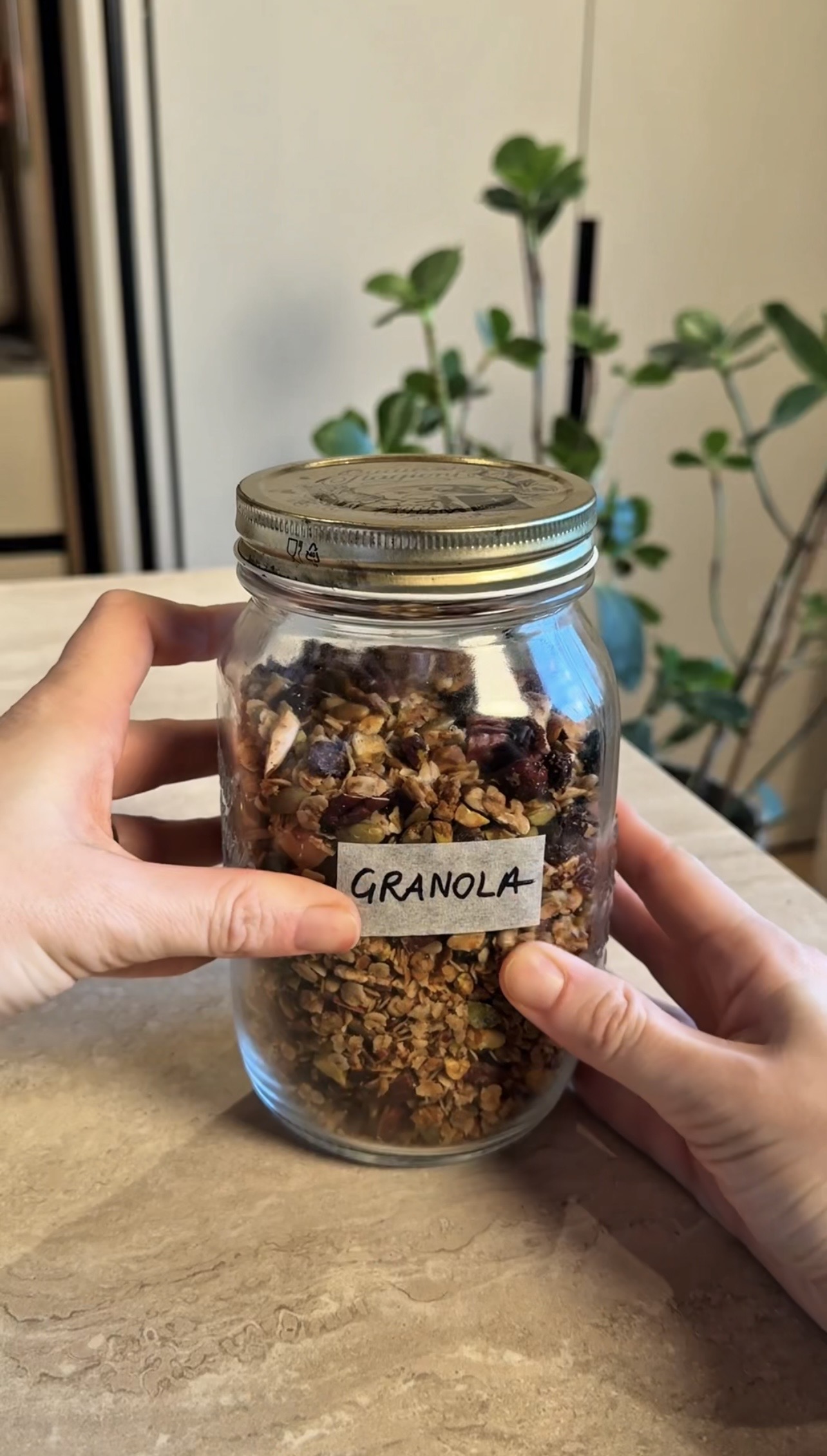 Granola in friggitrice ad aria ricetta step 4