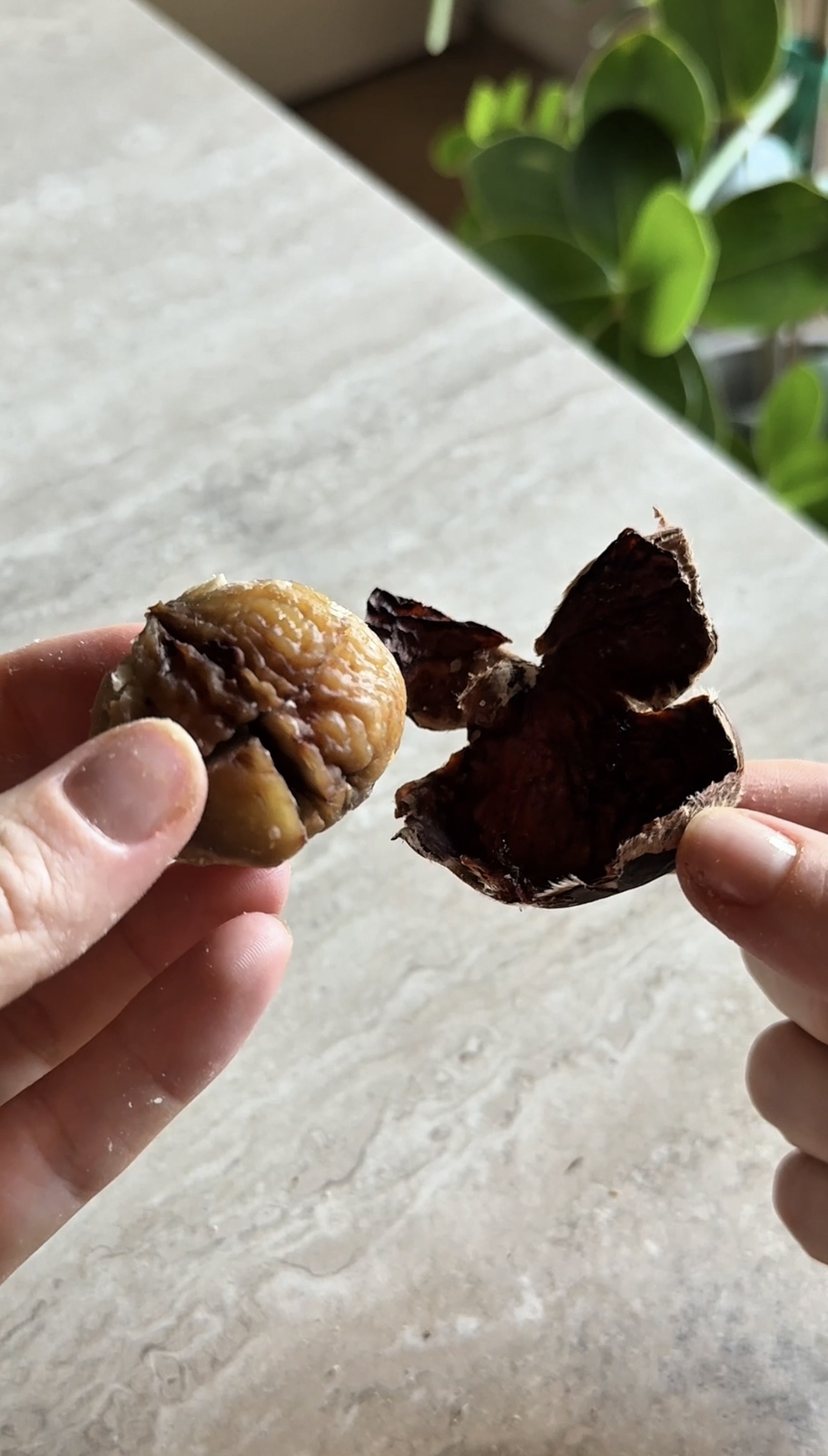 Castagne perfette ricetta step 4