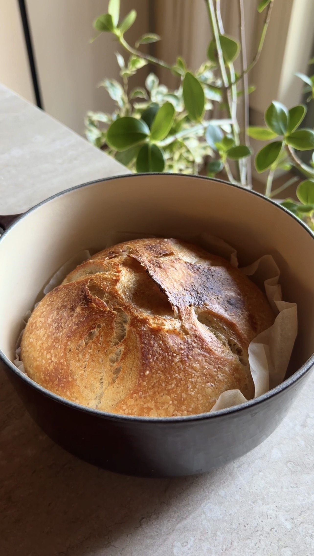Pane con lievito madre ricetta step 9