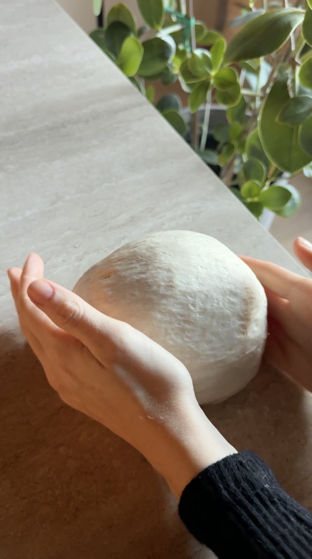 Panettone ricetta step 4