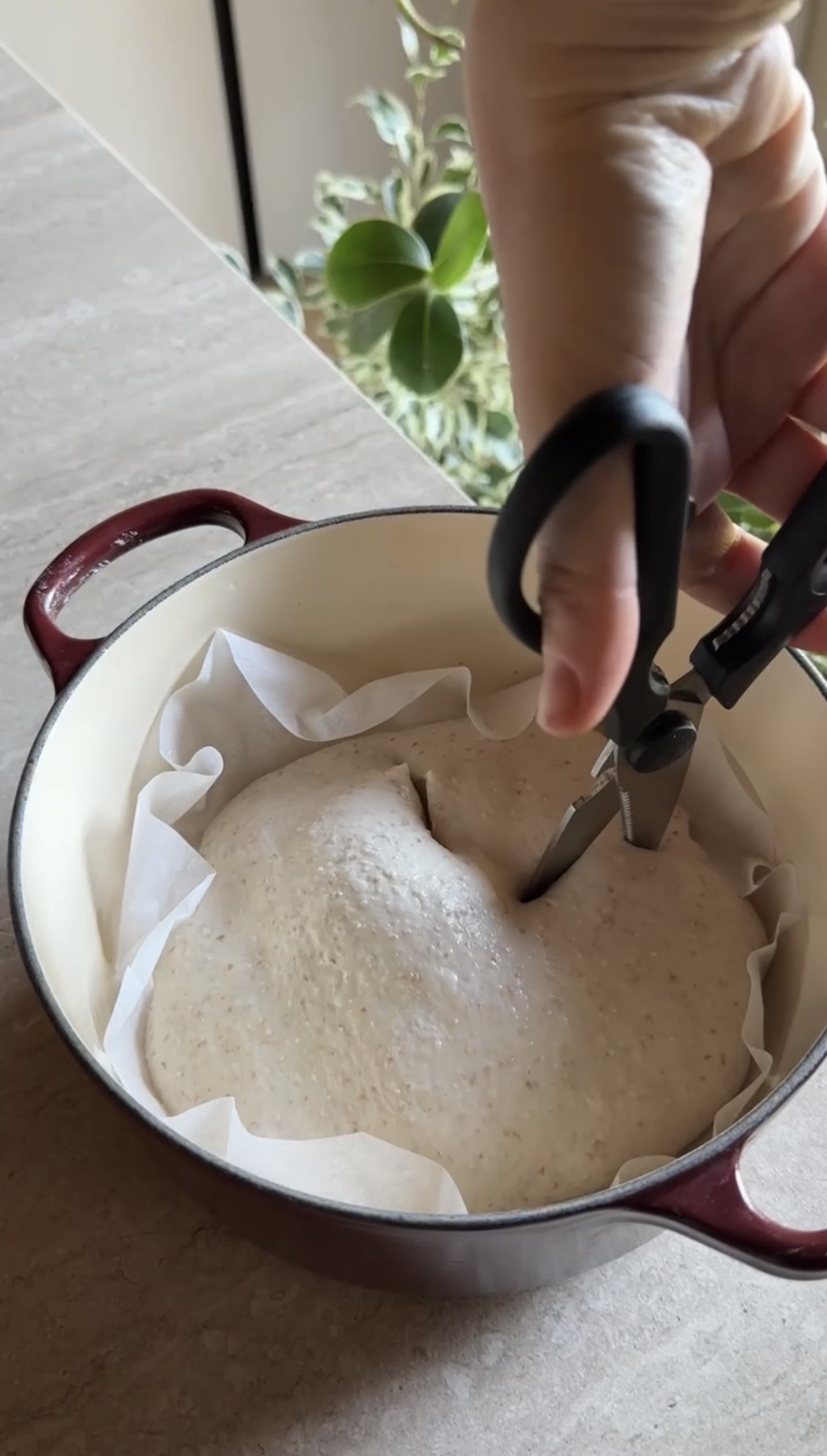 Pane con lievito madre ricetta step 7