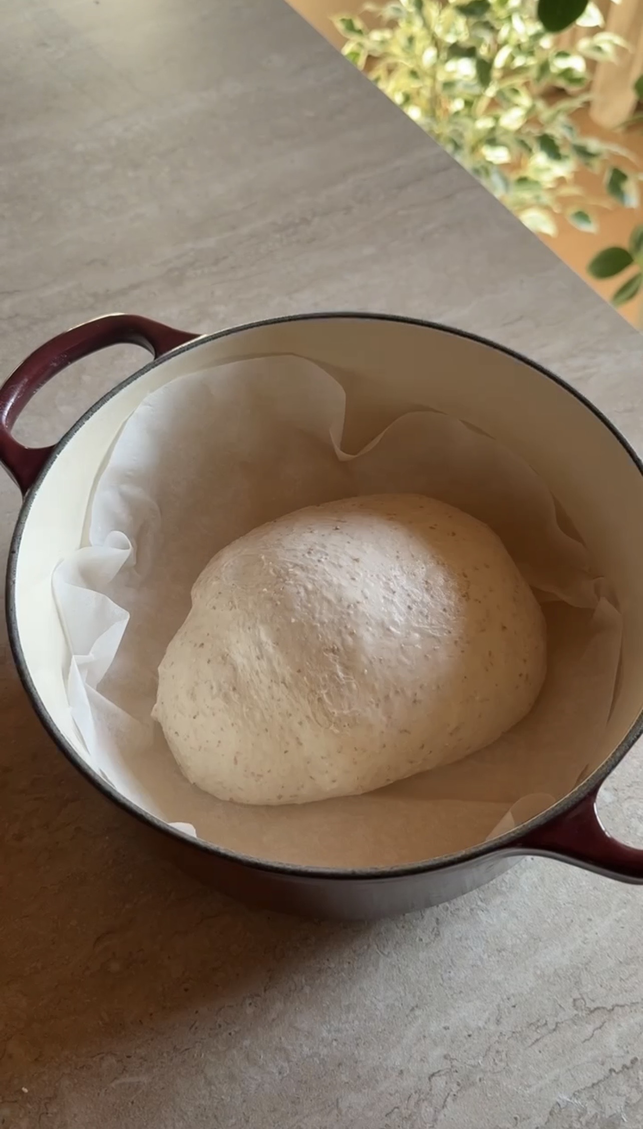 Pane con lievito madre ricetta step 6