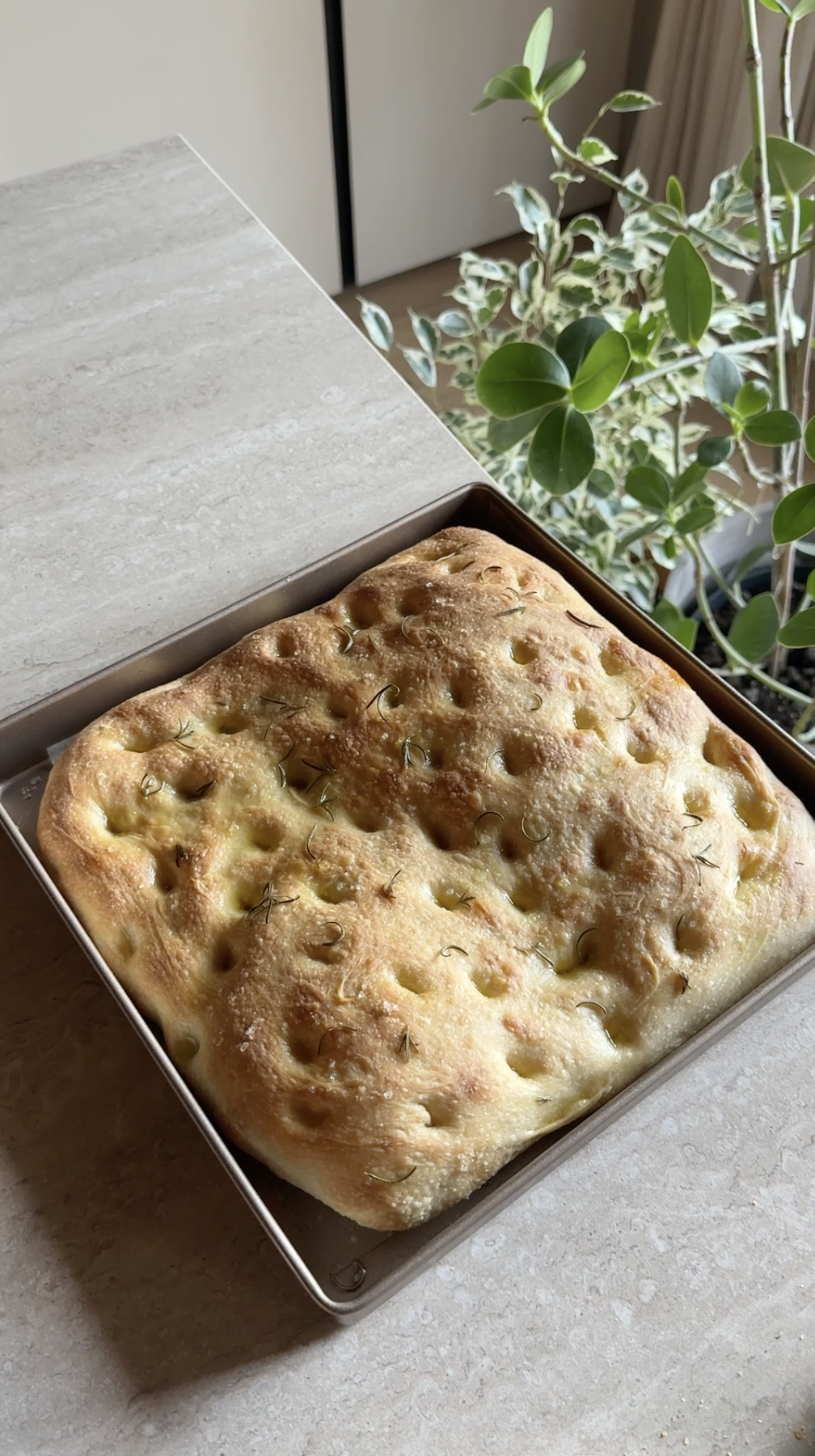 Focaccia con lievito madre ricetta step 7