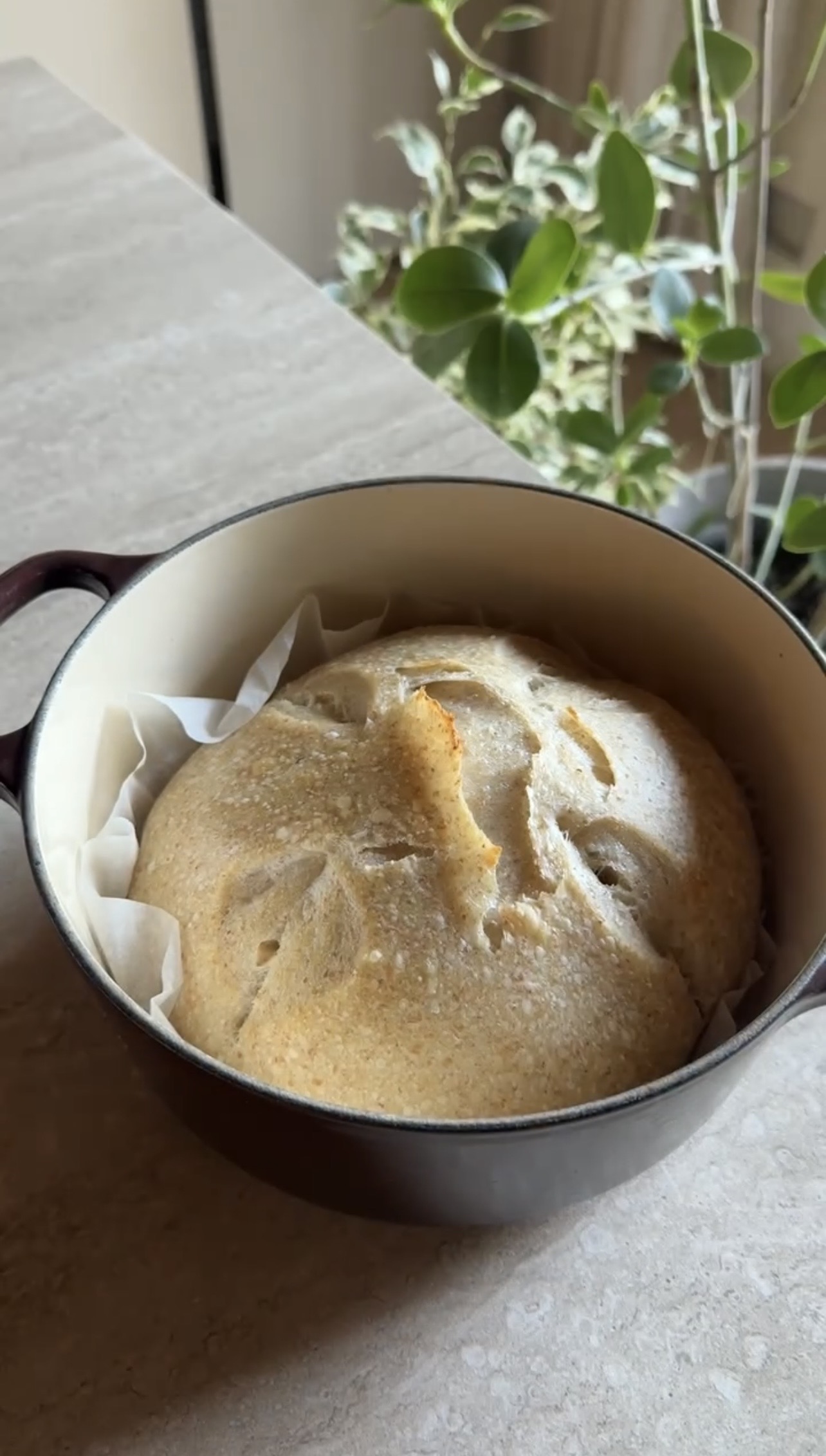 Pane con lievito madre ricetta step 8