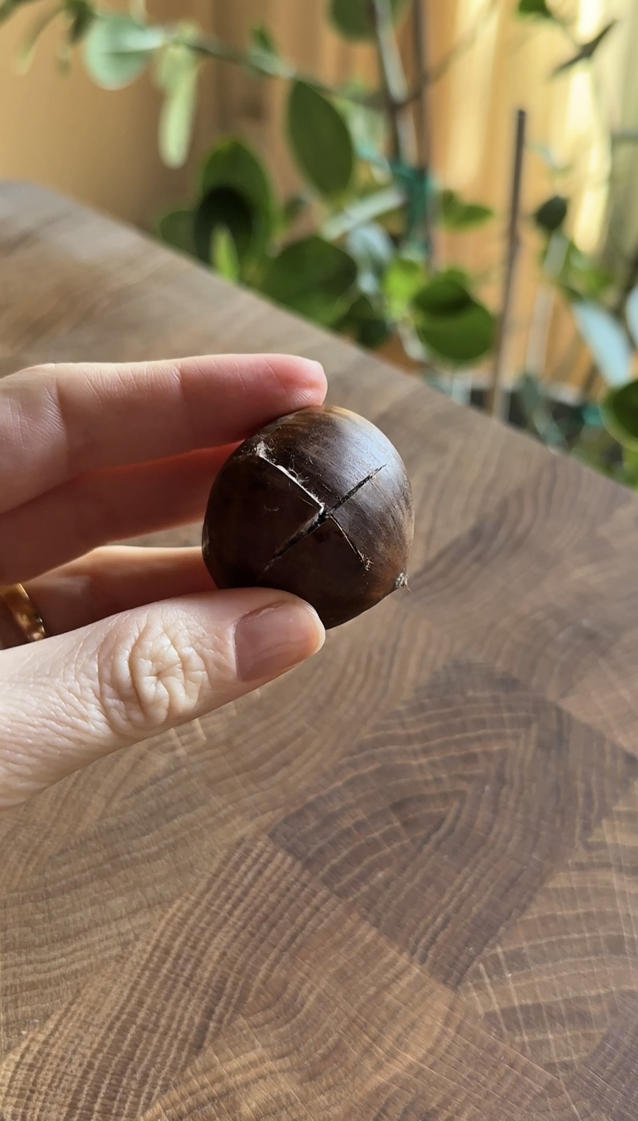 Castagne perfette ricetta step 1