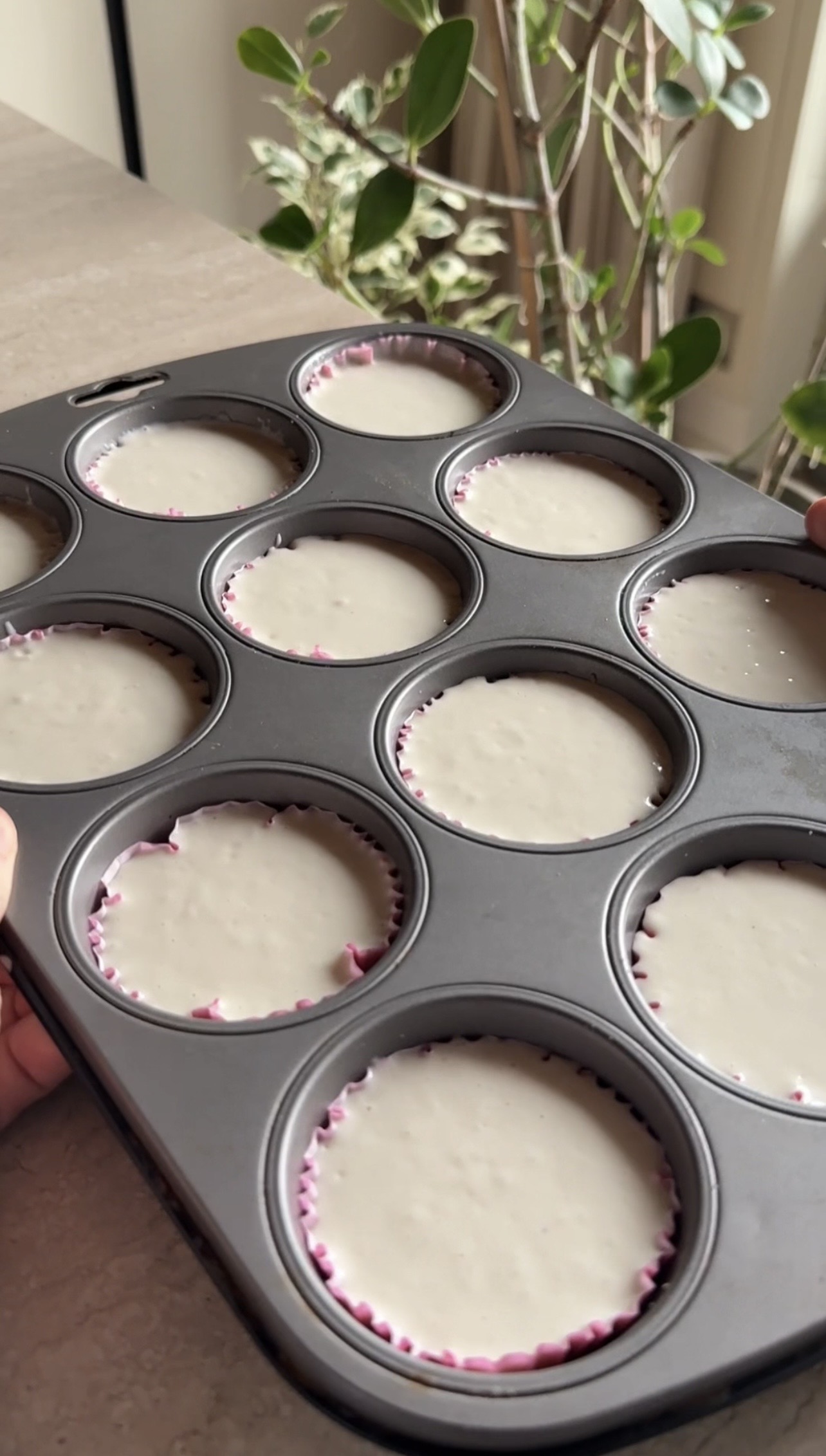 Mini cheesecake ai lamponi ricetta step 5