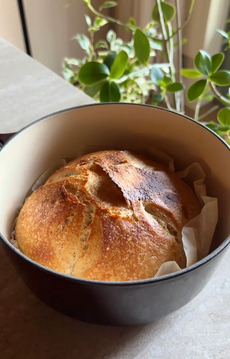 Pane con lievito madre ricetta