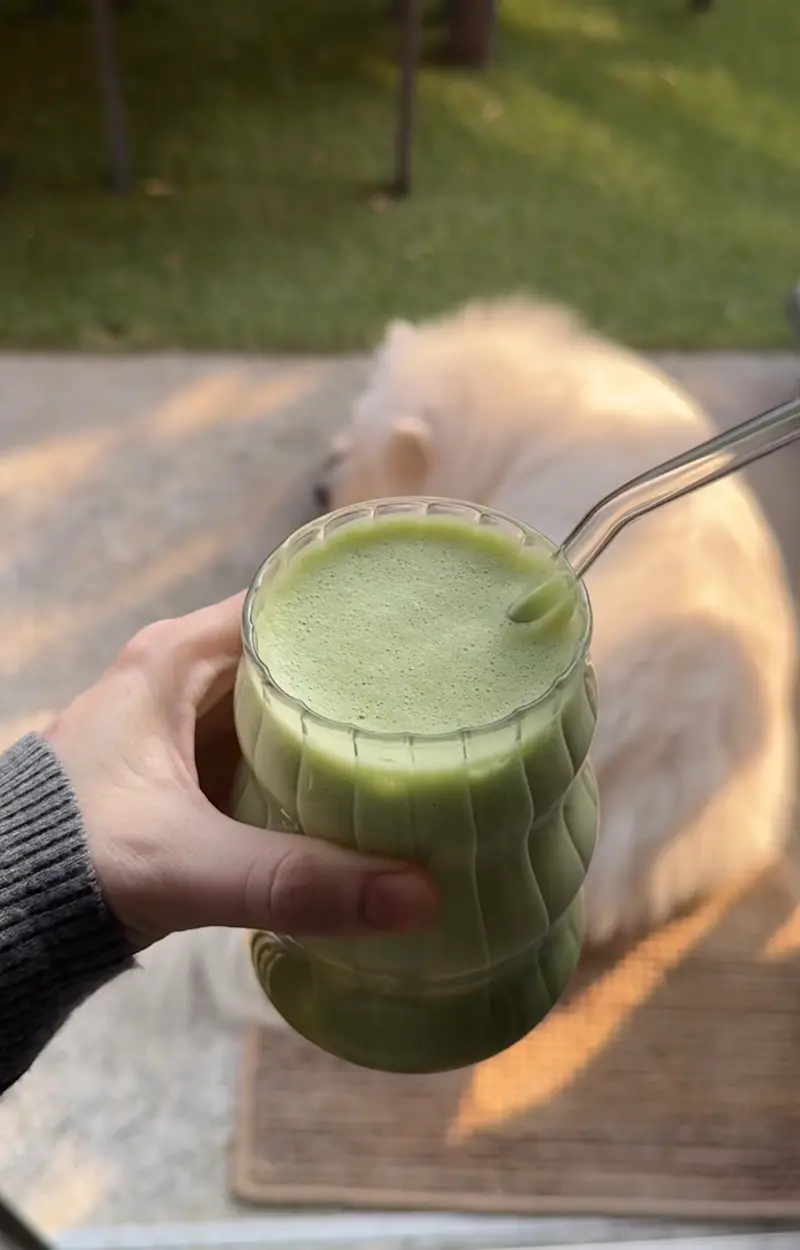 Lazy girl matcha latte ricetta