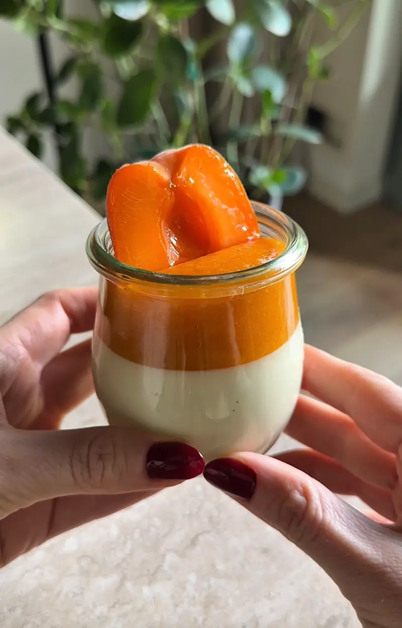 Panna cotta alle albicocche ricetta