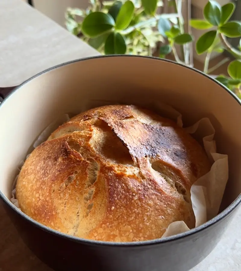 Pane con lievito madre ricetta