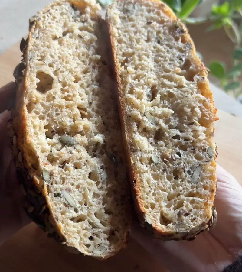 Pane ai semi ricetta