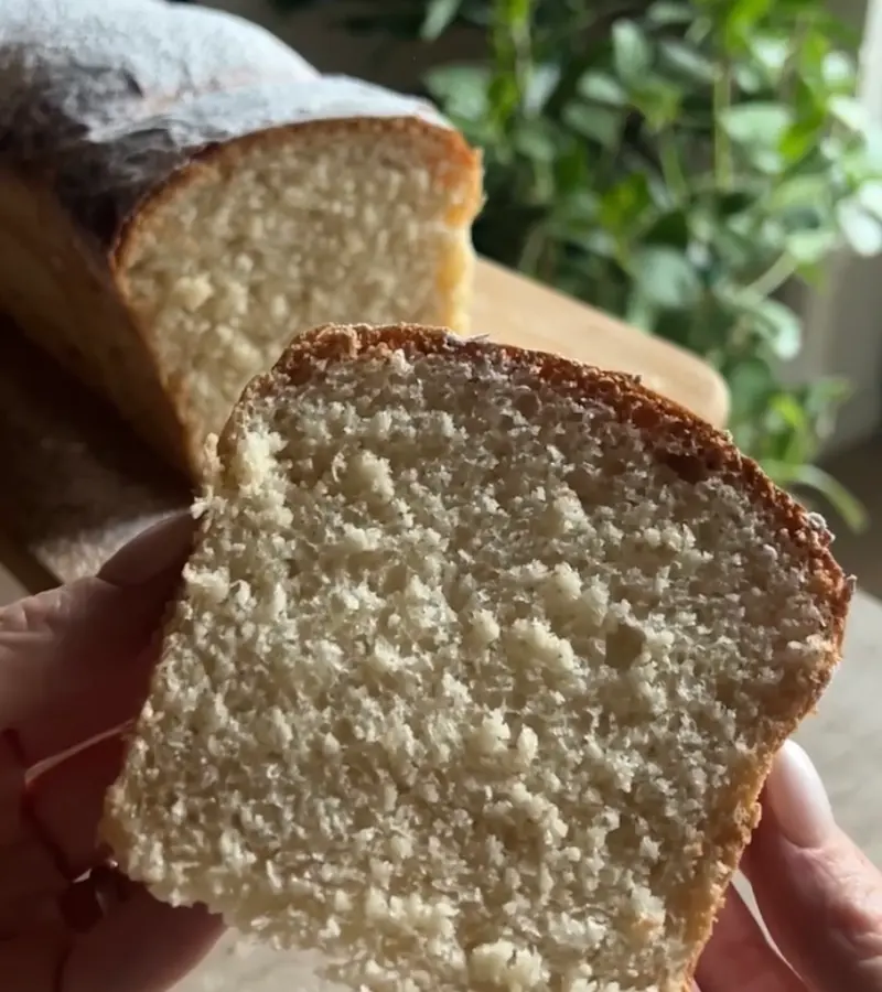 Pan brioche ricetta