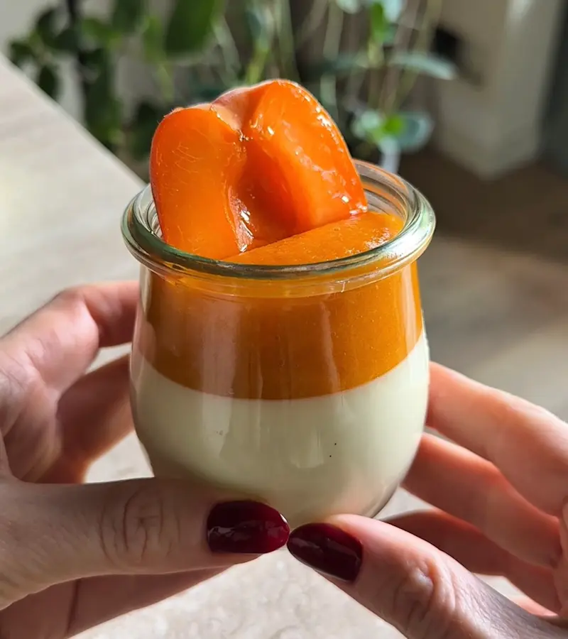 Panna cotta alle albicocche ricetta
